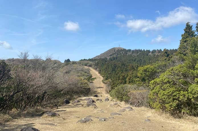 芝生の登山道と岩