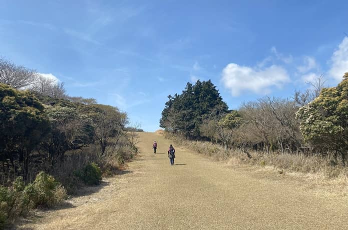芝生の登山道と青空