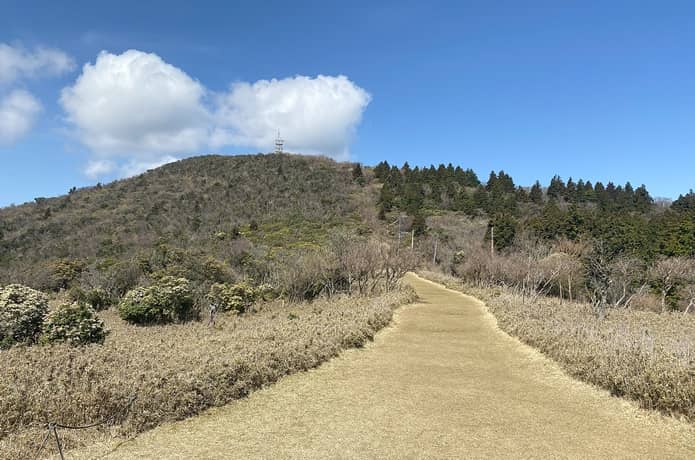 金冠山