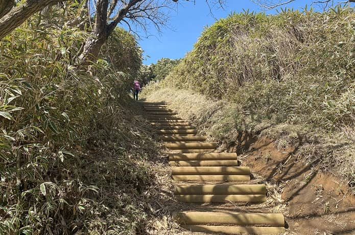 登山道　階段