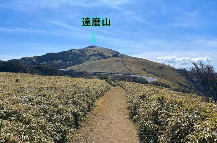 達磨山山頂