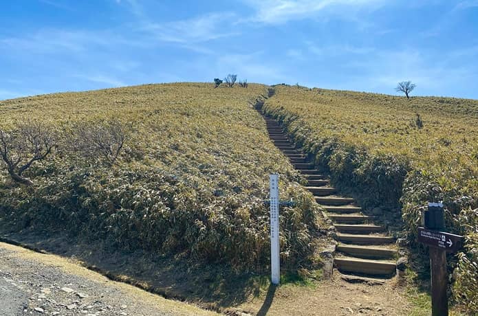 達磨山　登山口入口