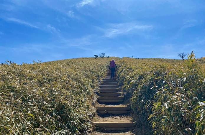 達磨山　階段