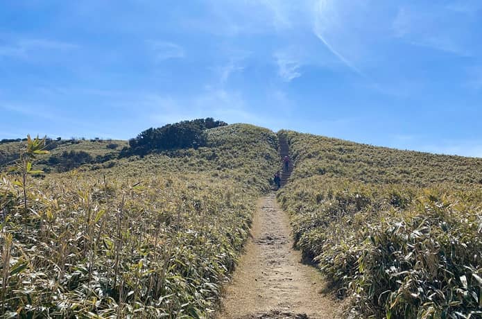 達磨山　登山道