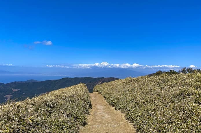 富士山