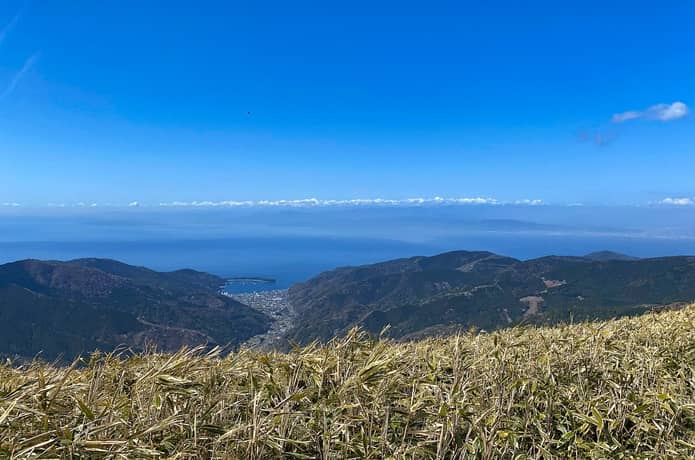 達磨山から望む駿河湾