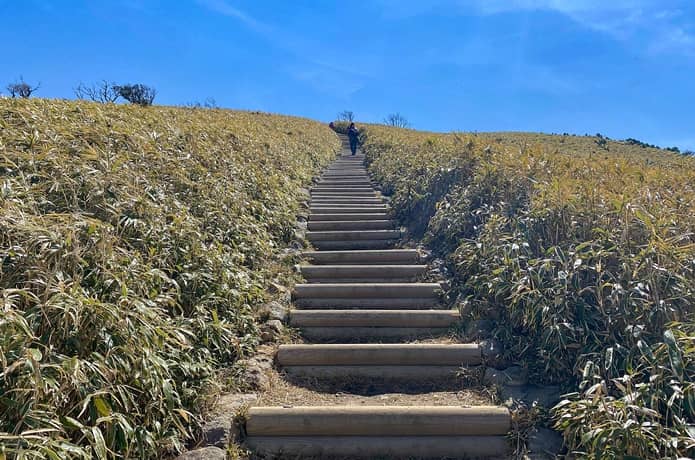 達磨山山頂へ続く階段