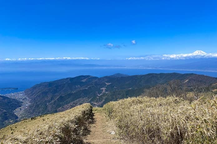 達磨山から望む富士山