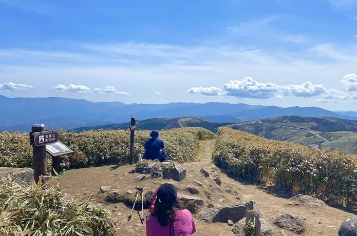 達磨山山頂
