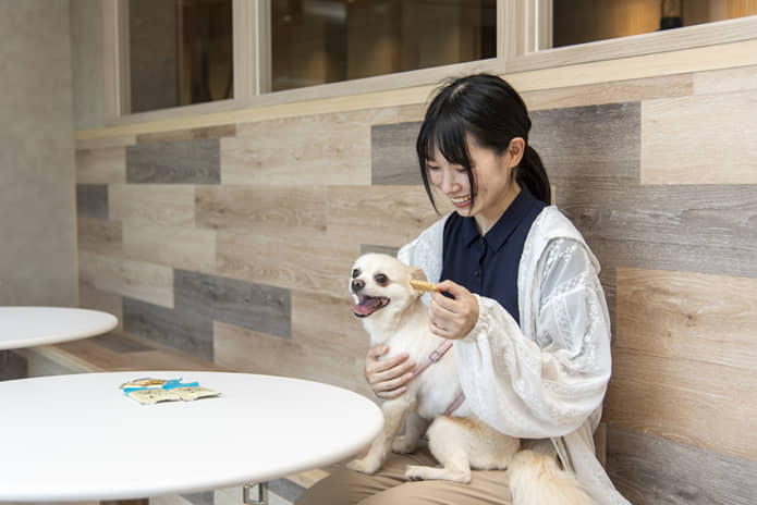 Kitchen218 でペットにご飯をあげている写真