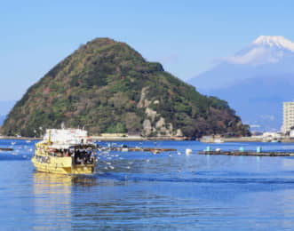 あわしまマリンパークは船でしか行けない水族館！施設の特徴や周辺施設、割引情報などをご紹介