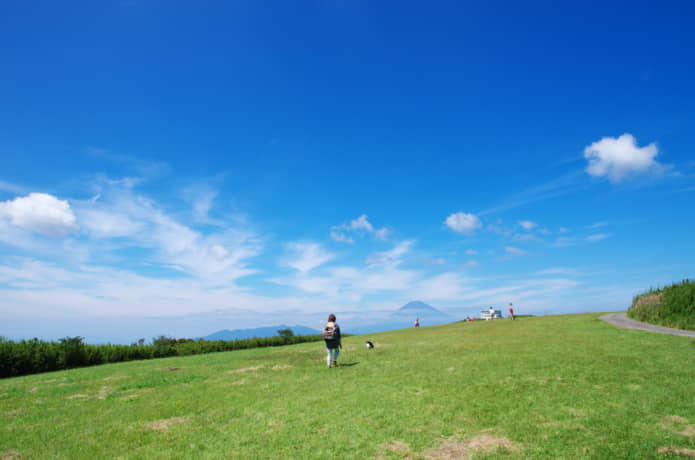 十国峠の草原