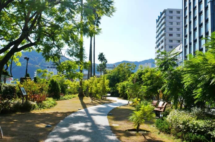ジャカランダ遊歩道