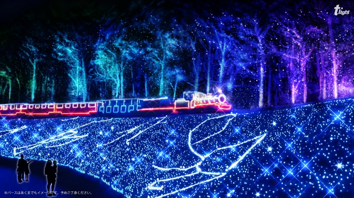 虹の郷サンクスイルミのライトアップされた電車と木々の風景
