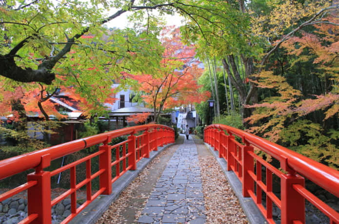 修善寺の桂橋