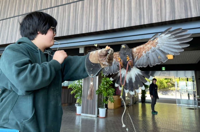 フライトショーでタカが飛んでいる様子