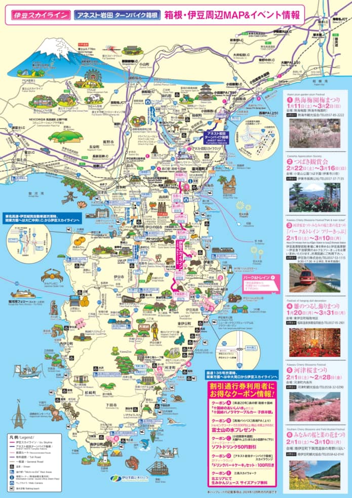 伊豆スカイラインの河津桜期間中の割引料金チラシ（裏）